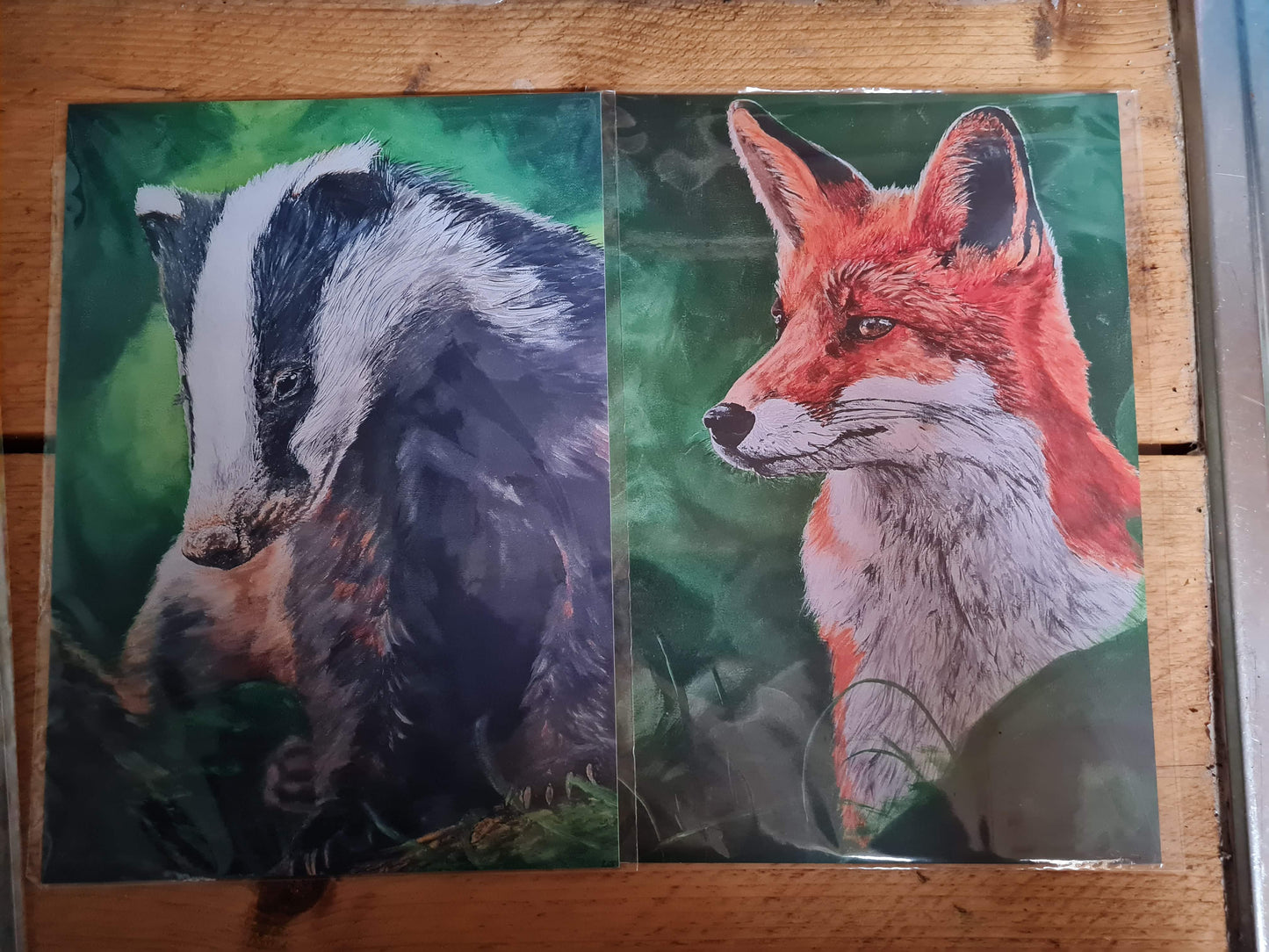 Vulpes, Red Fox | Limited Edition Prints
