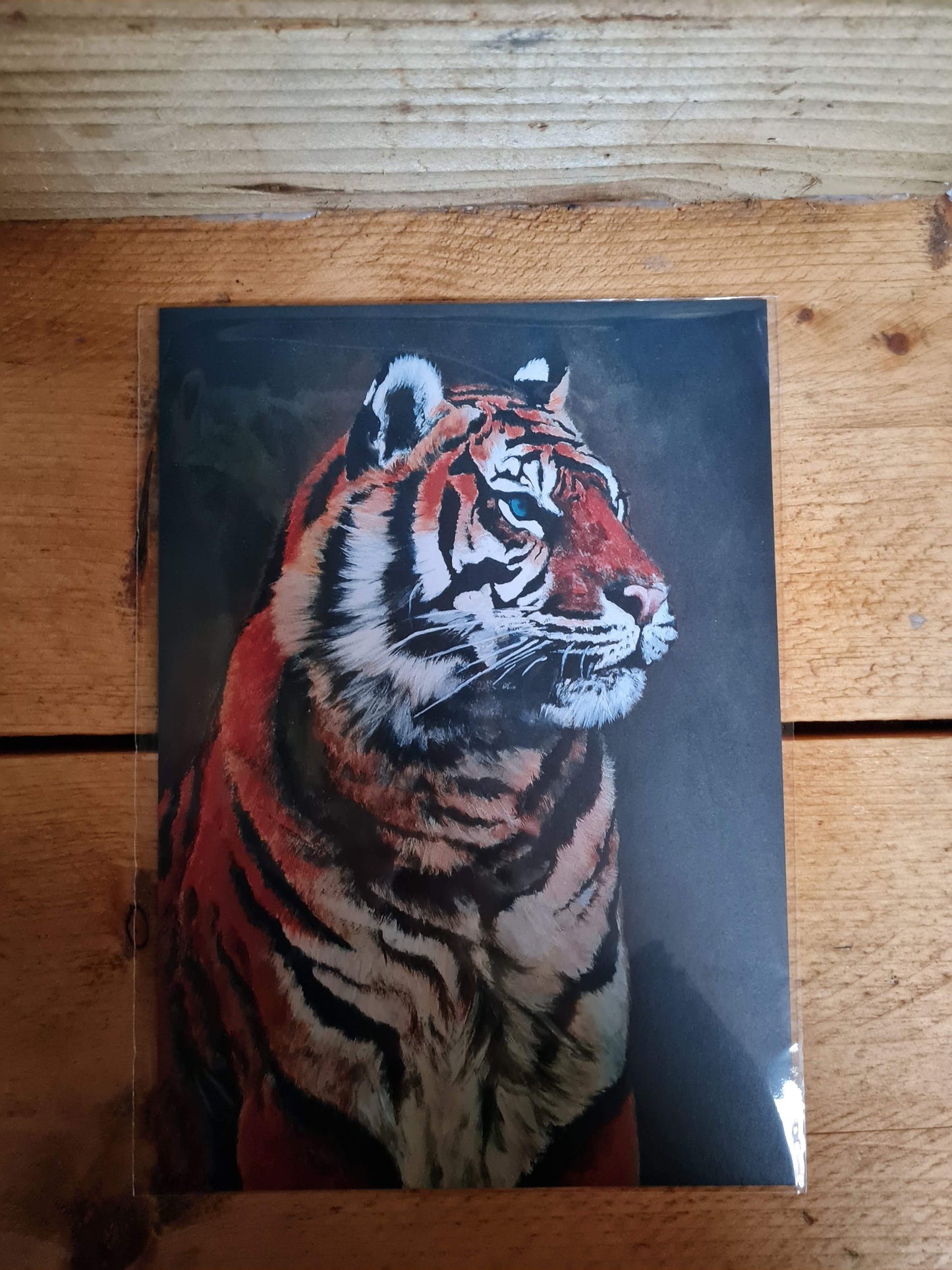 The Remaining Sumatran Tiger | Limited Edition Print
