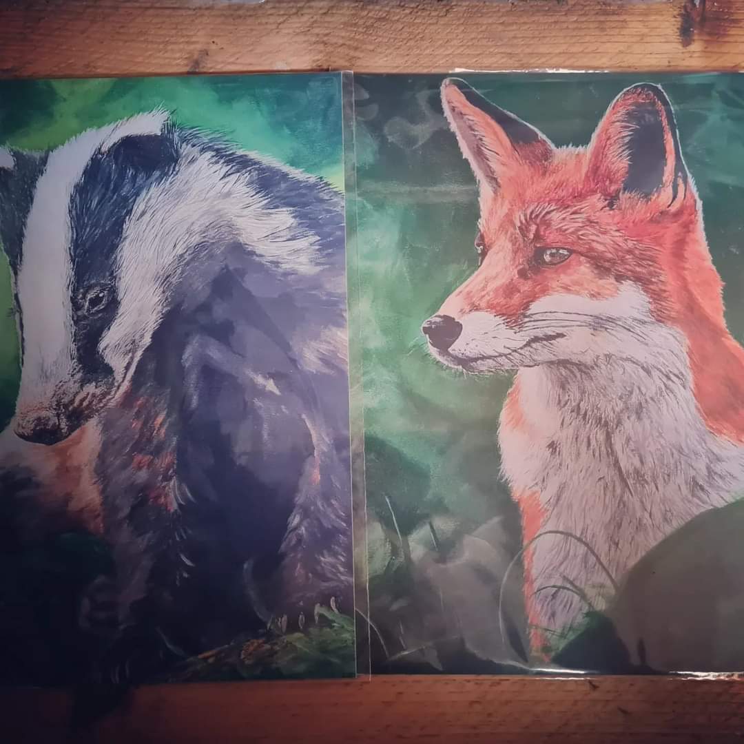 Meles meles | Limited Edition Prints